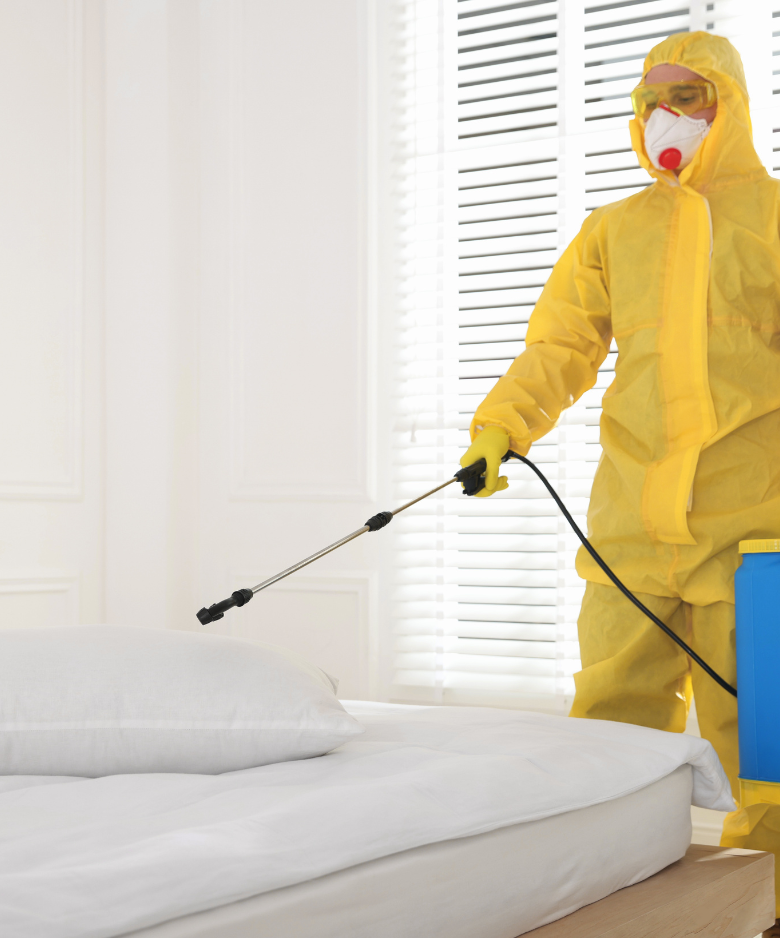 Professional Pest Control Team in Broadview